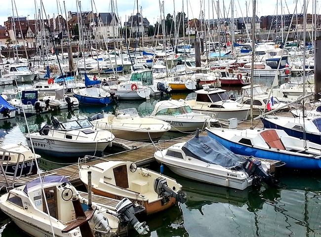 20201201_024840.jpg